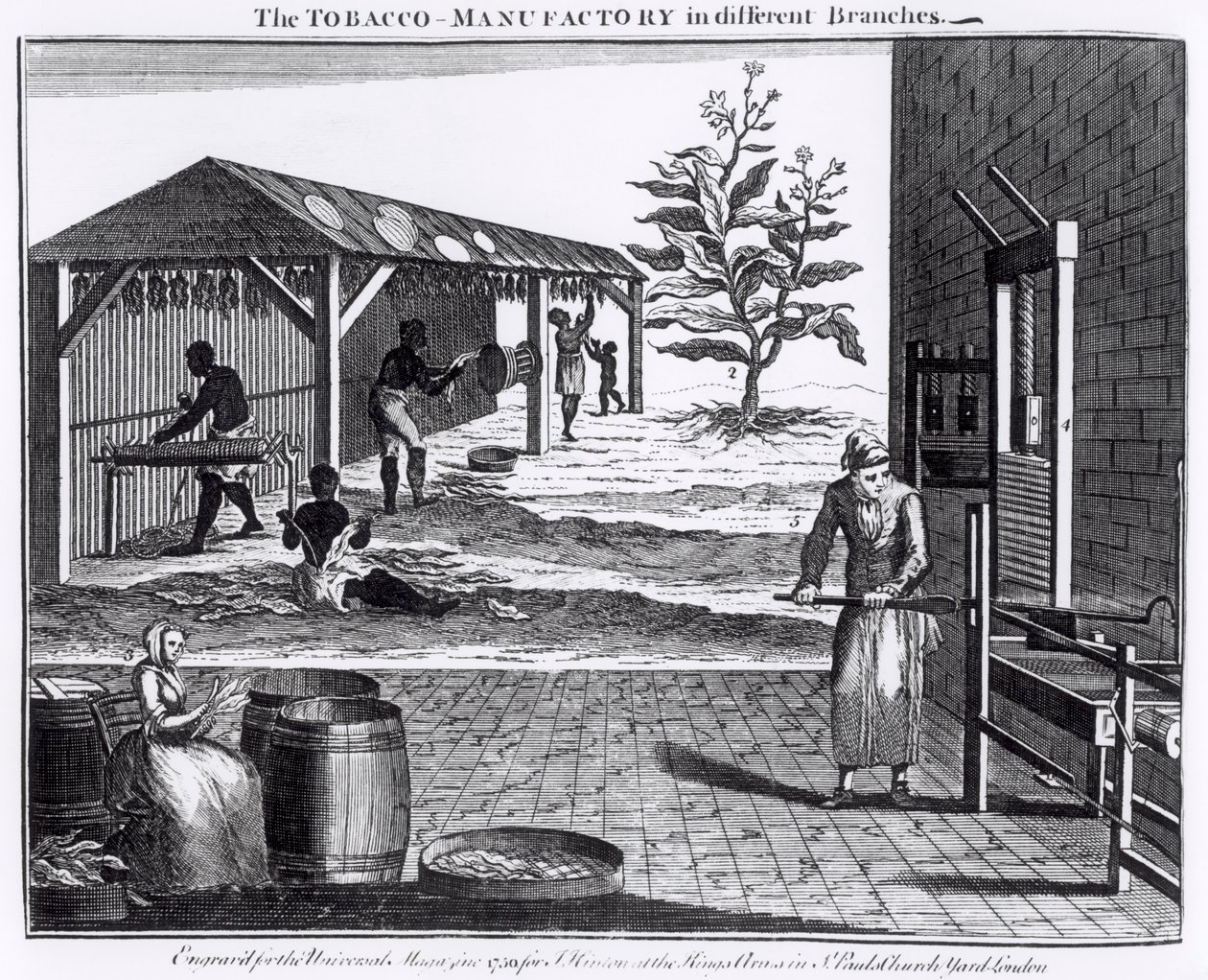De Tabaksfabriek in Verschillende Takken, gegraveerd voor het Universal Magazine, 1750 door English School
