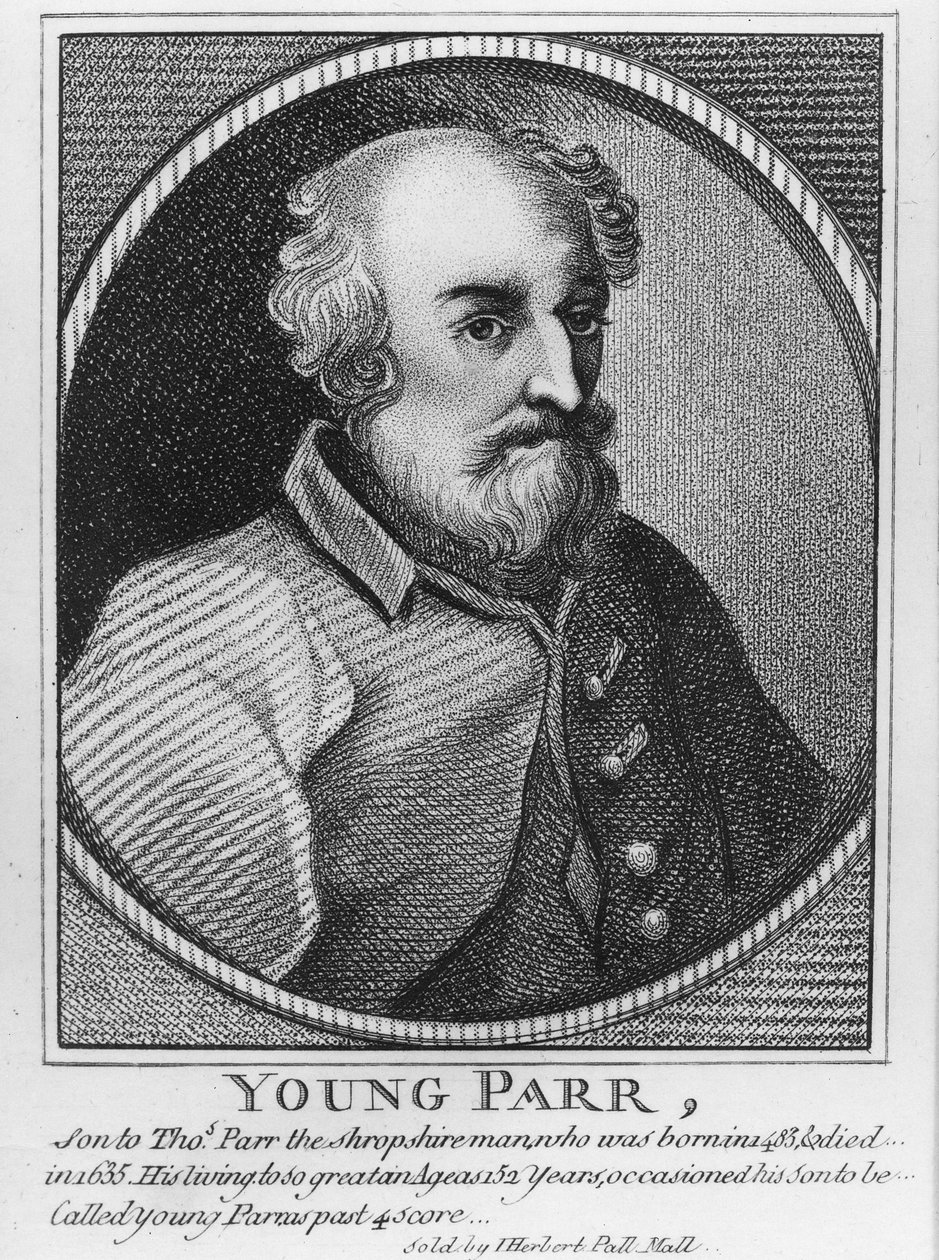 Jonge Parr door English School