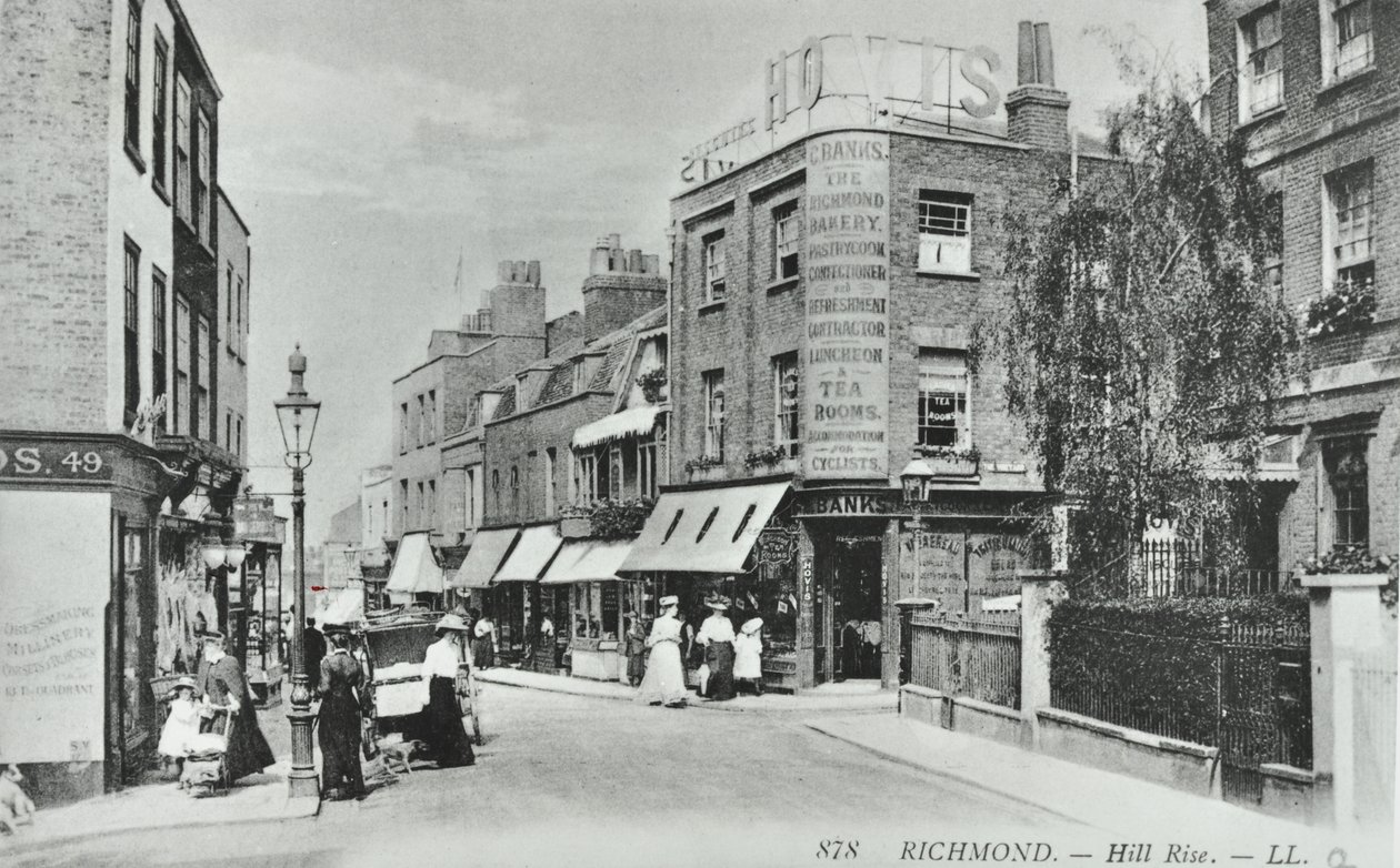 Hill Rise, Richmond: algemeen uitzicht, 1895 door English Photographer