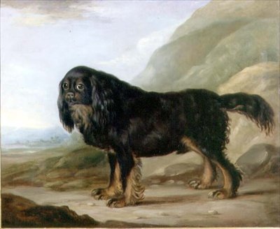 Een King Charles Spaniël in een Landschap door English School