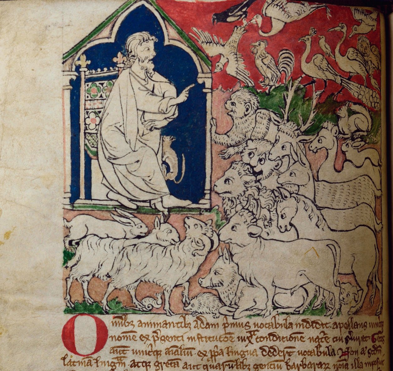 CCA-LitMs/D/10 fol. 7v Adam, uit Bestiarium door English School