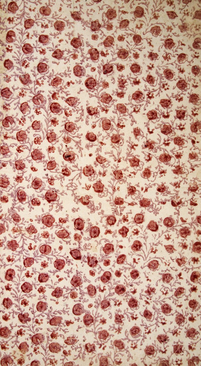 Floral Endpaper (handgekleurde gravure) door English School