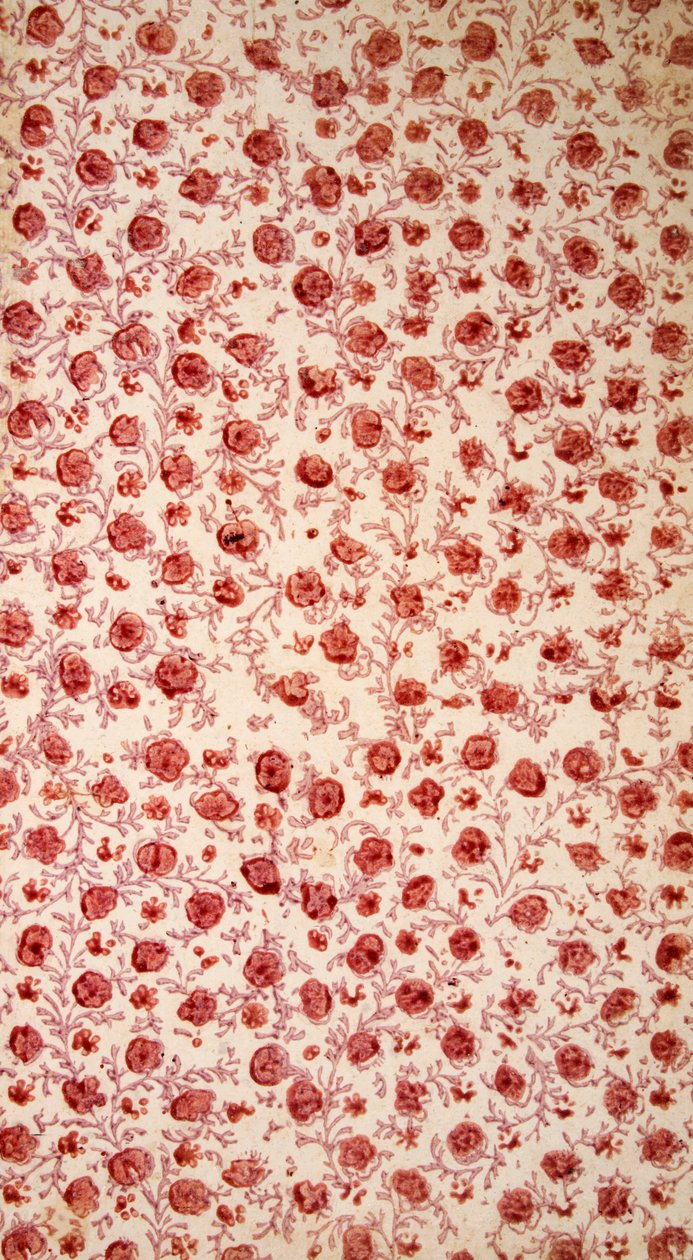 Floraal schutblad handgekleurde gravure door English School