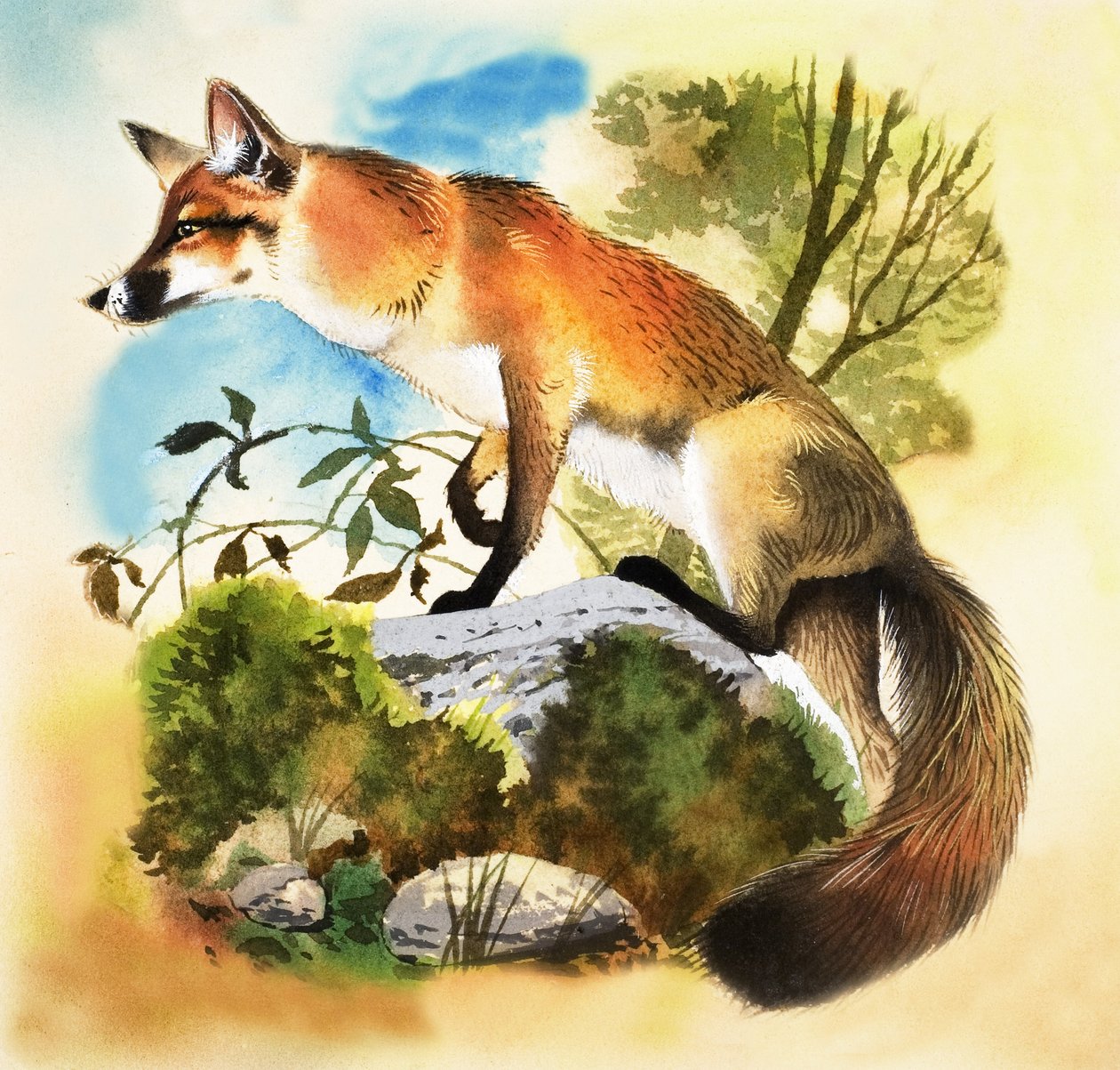 Fox door English School