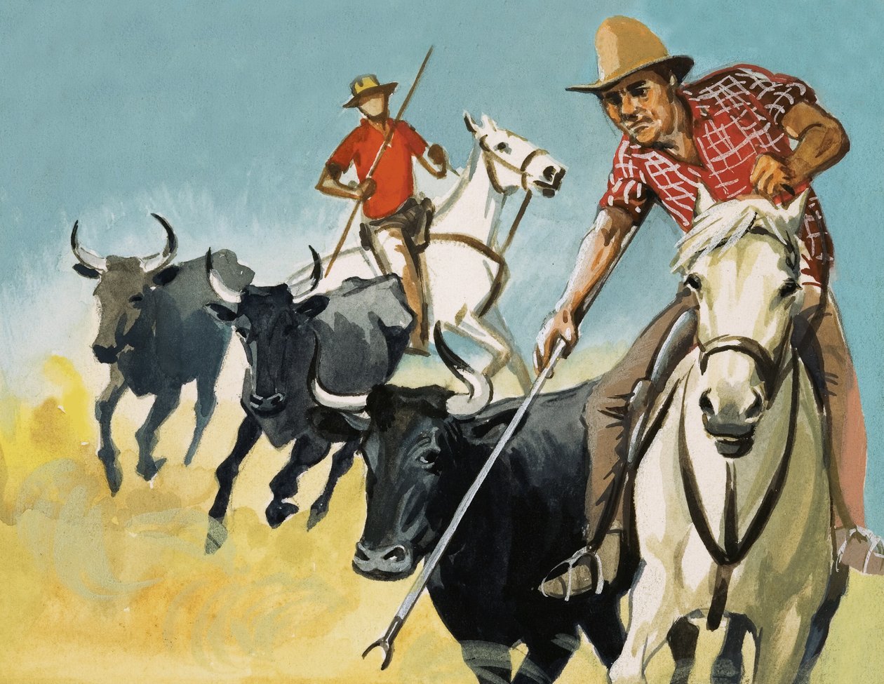 Gardians van de Camargue door English School