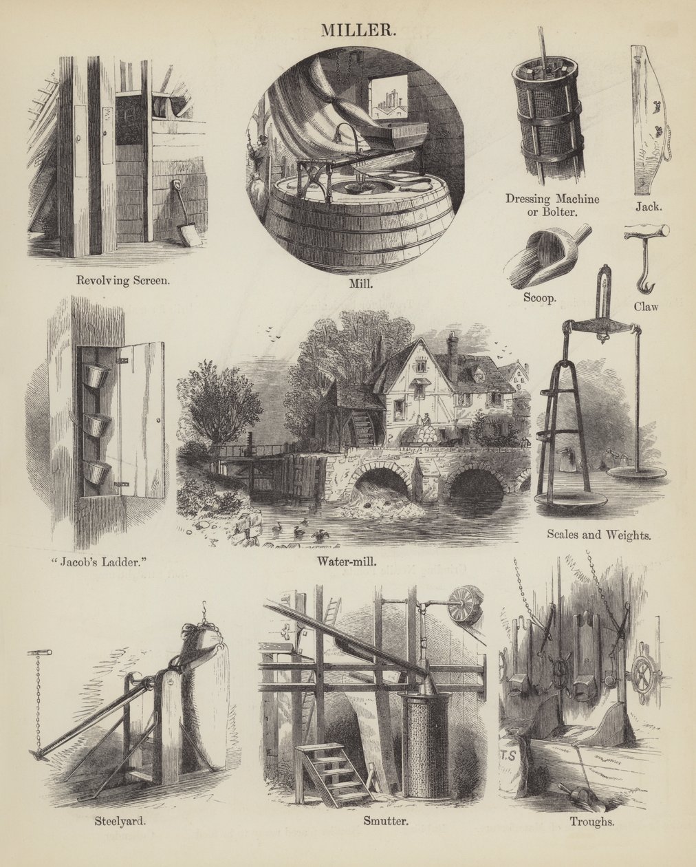 Molenaar (gravure) door English School