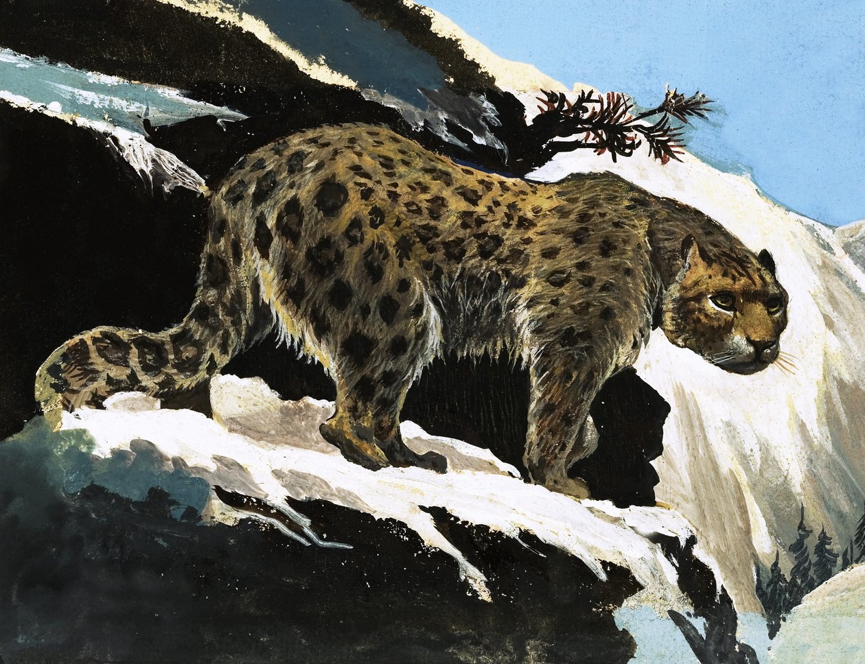Snow Leopard door English School