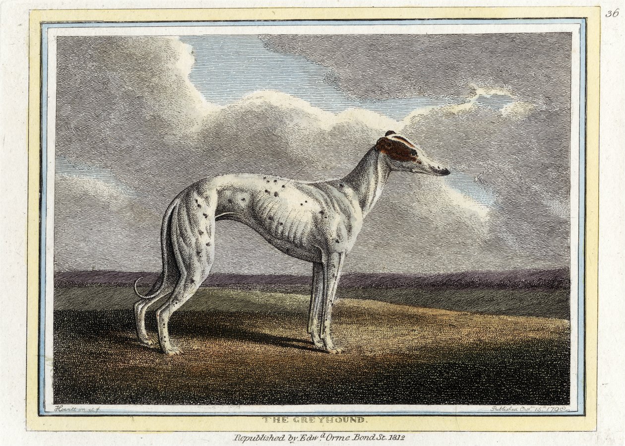 De Greyhound, pub. 1812 door English School