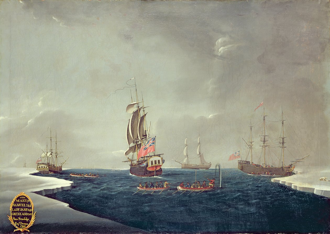 De walvisvloot van Sir Samuel Standidge door English School