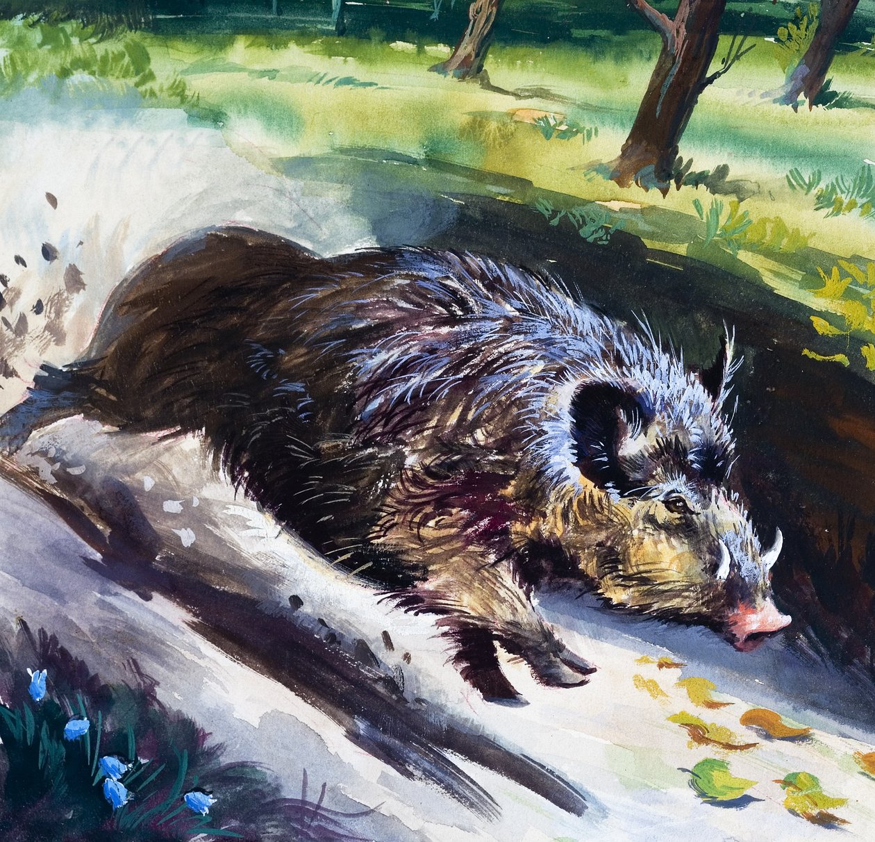 Wild zwijn (gouache op papier) door English School