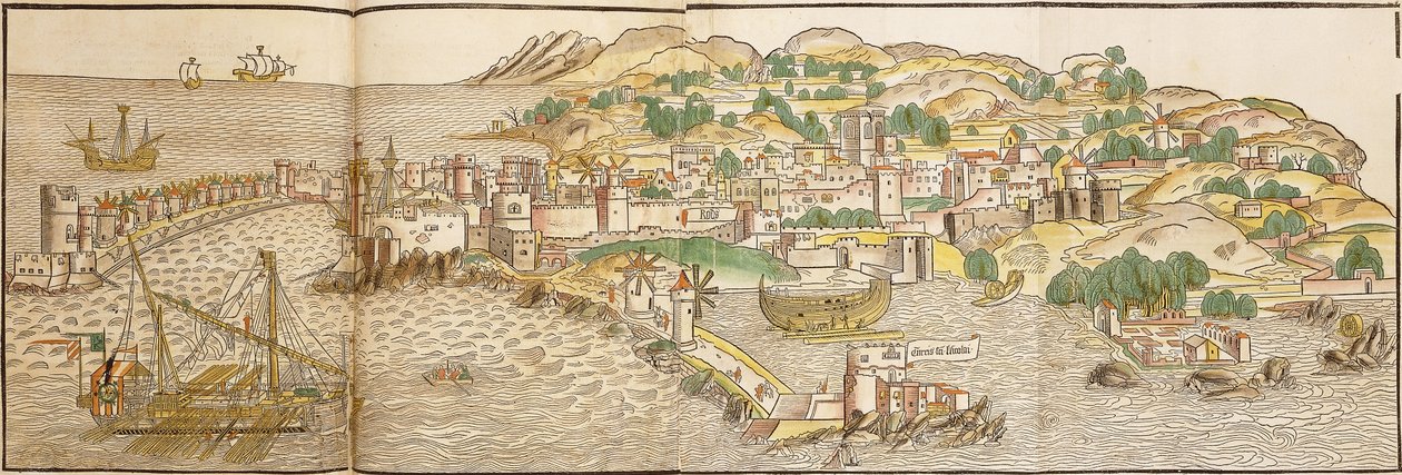 Panoramisch uitzicht op Rhodos, 1486 door Erhard Reuwich