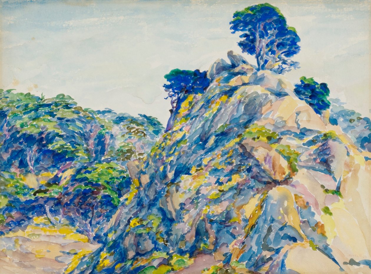 Punt Lobos door Ernest Haskell