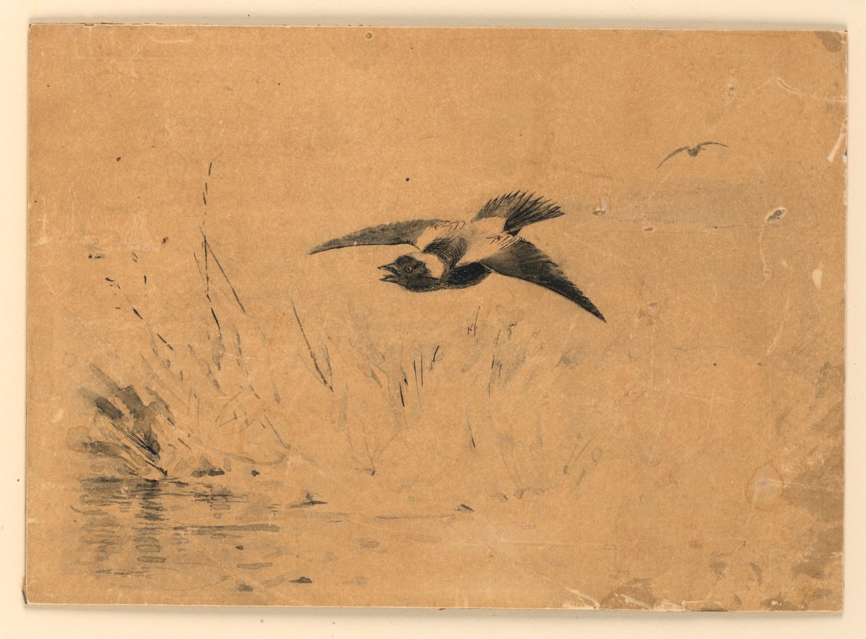 Bobolink door Ernest Thompson Seton
