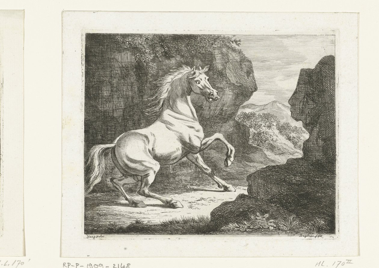 Stuiterende witte hengst door Ernst Willem Jan Bagelaar
