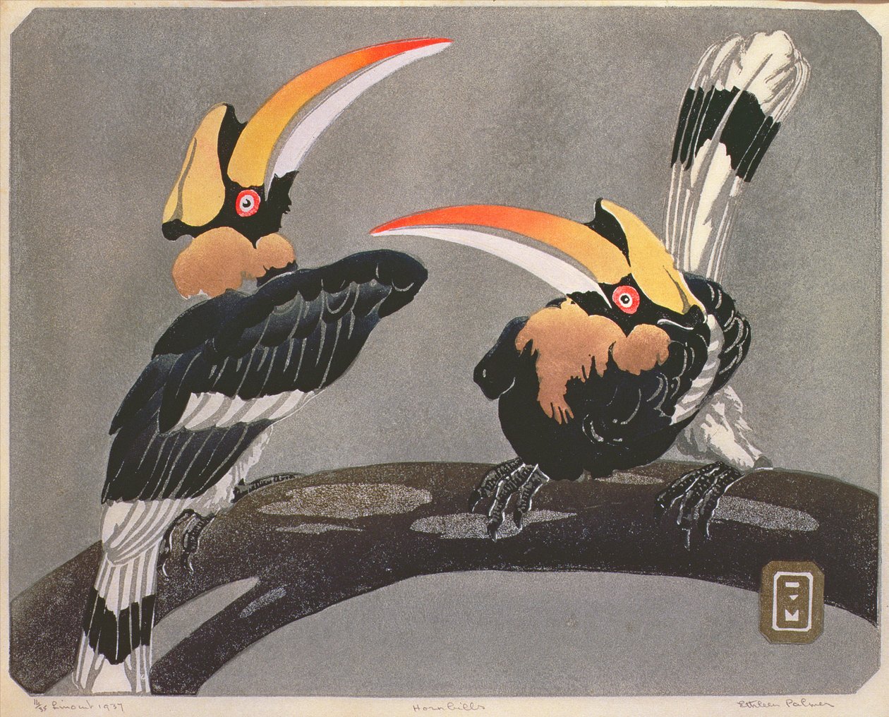 Neushoornvogels, 1937 door Ethleen Palmer