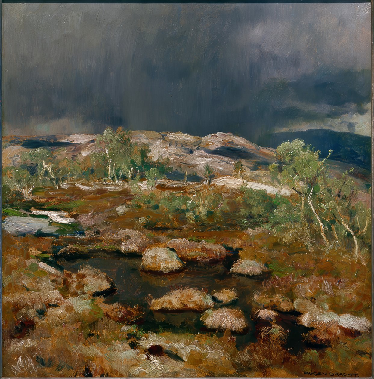 Regenbui in het Noorse hoogveen door Eugen Felix Prosper Bracht
