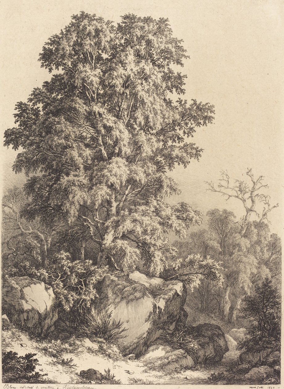 Beukenbos door Eugene Bléry