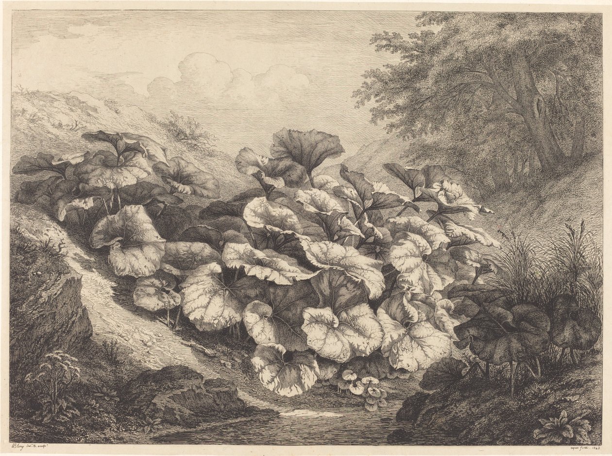 Grote hoefblad door Eugene Bléry