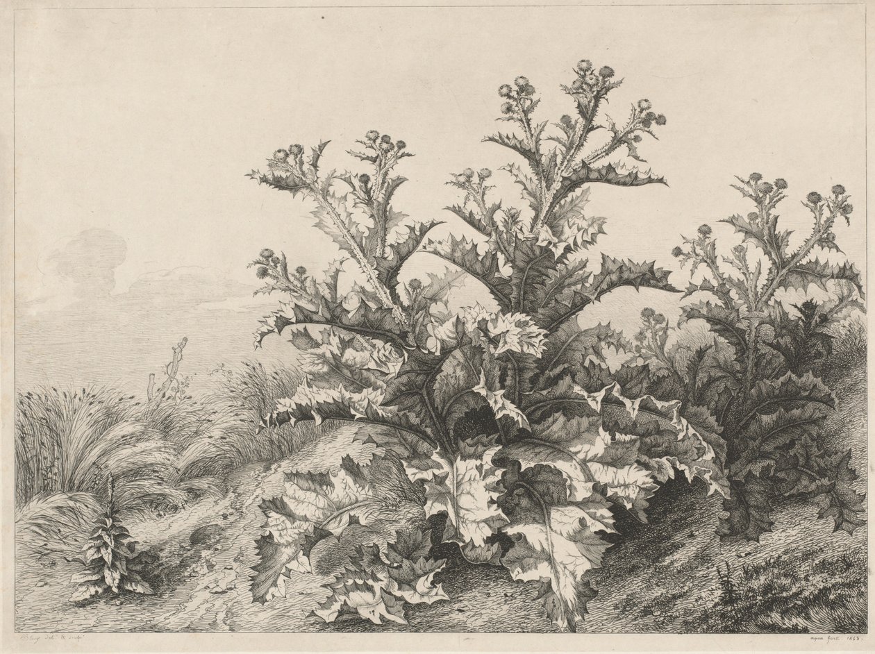 De Grote Distel door Eugene Bléry