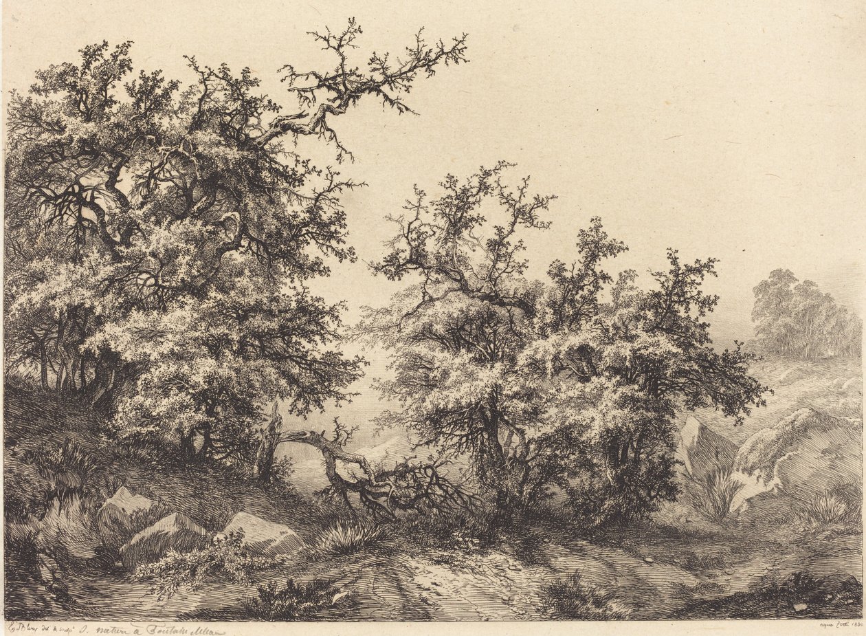 Doornstruiken, 1840 door Eugene Bléry
