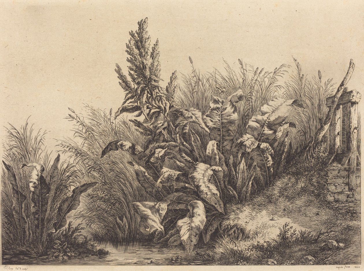 Waterdok door Eugene Bléry