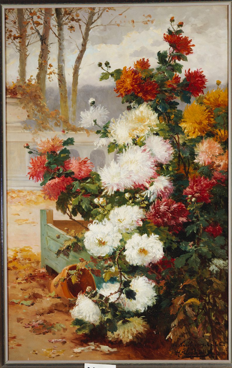 Chrysanten in een ommuurde tuin door Eugene Henri Cauchois