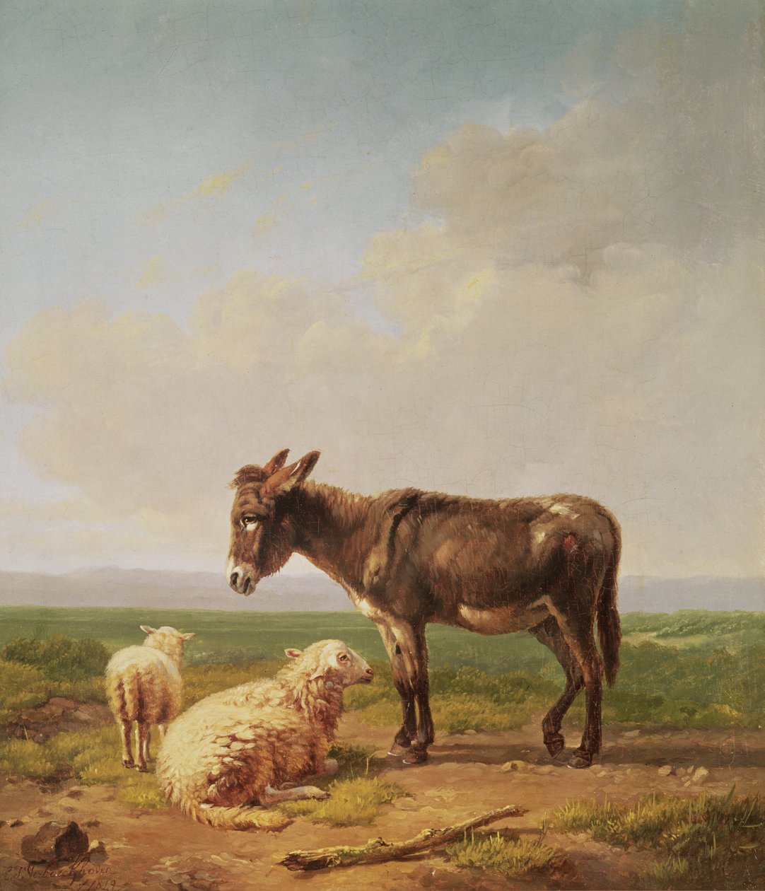 Ezel en schapen, 1849 door Eugene Joseph Verboeckhoven