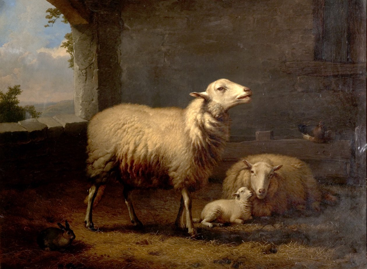 Schapen, 1876 door Eugene Joseph Verboeckhoven