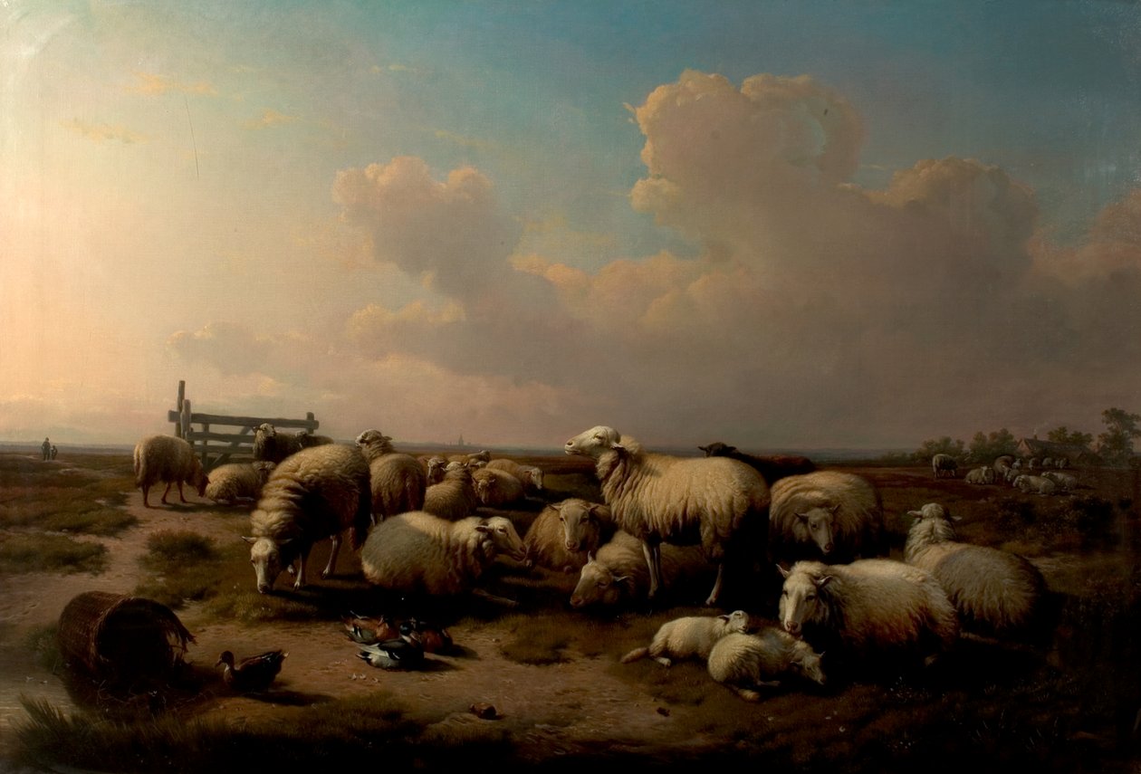 De Schapen door Eugene Joseph Verboeckhoven