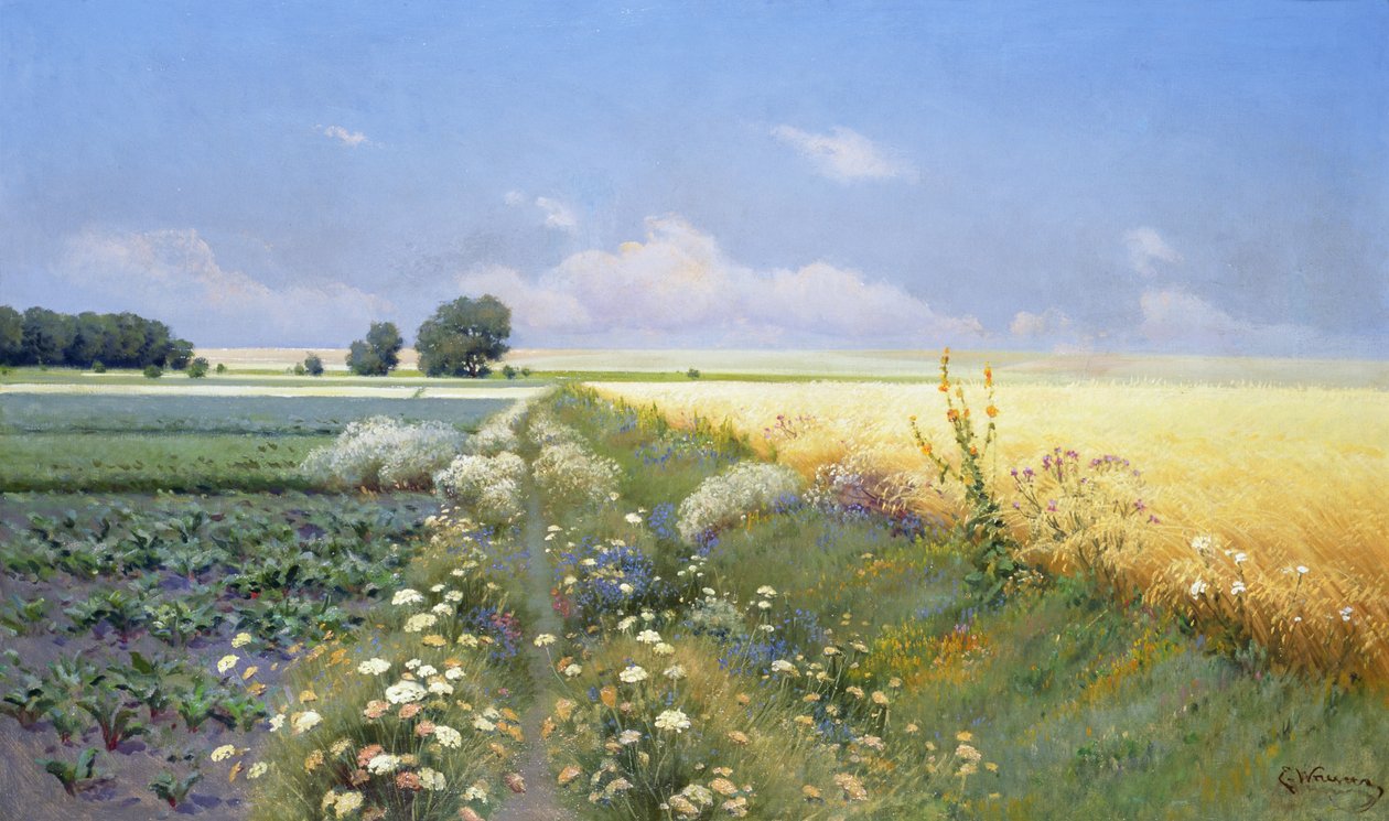 Zomerlandschap door Eugeniusz Wrzeszcz