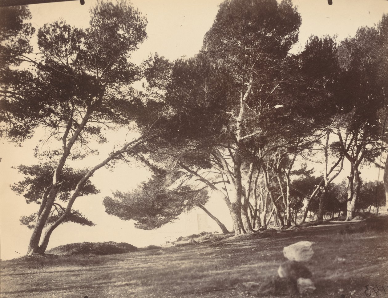 Cannes, Ile Saint Honorat door Eugène Atget