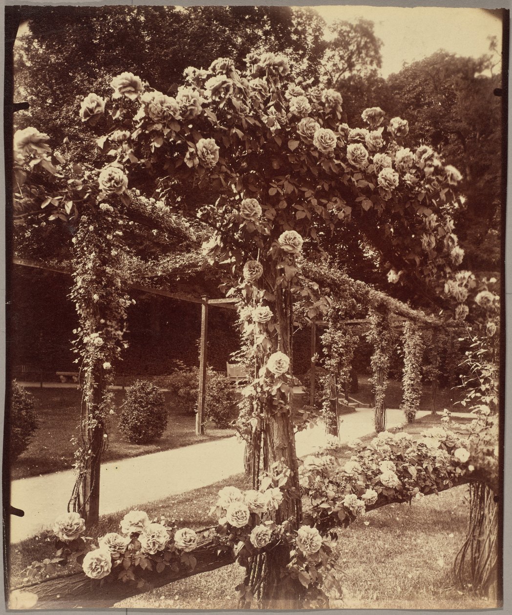 [Jardin de Bagatelle]. door Eugène Atget