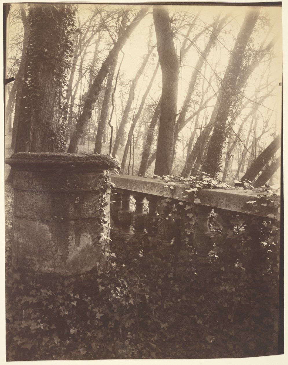 Saint-Cloud Park, Parijs door Eugène Atget