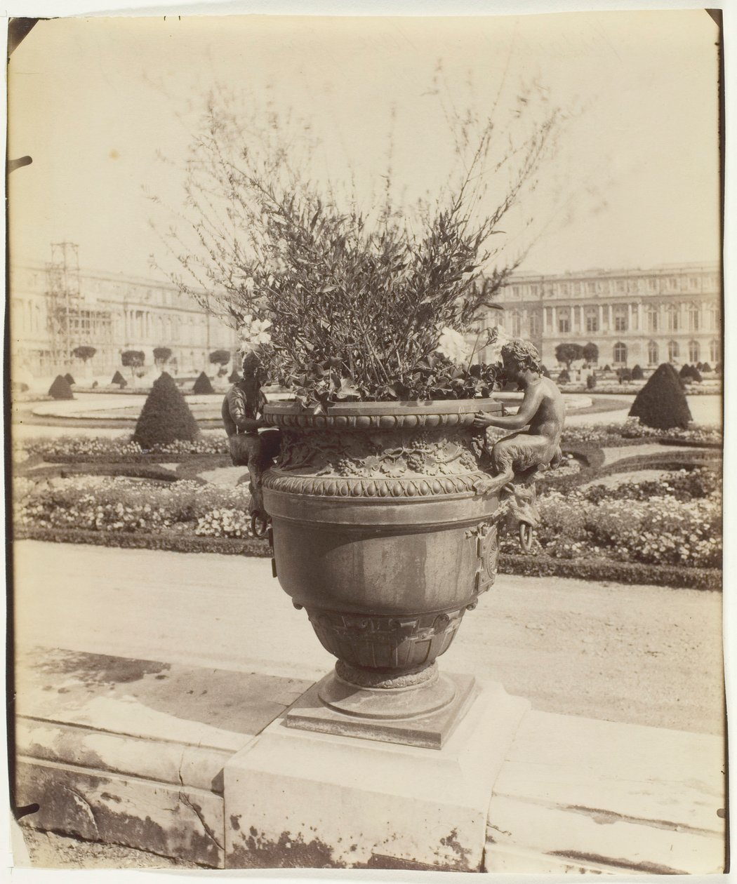 Versailles, vaas door Ballin door Eugène Atget