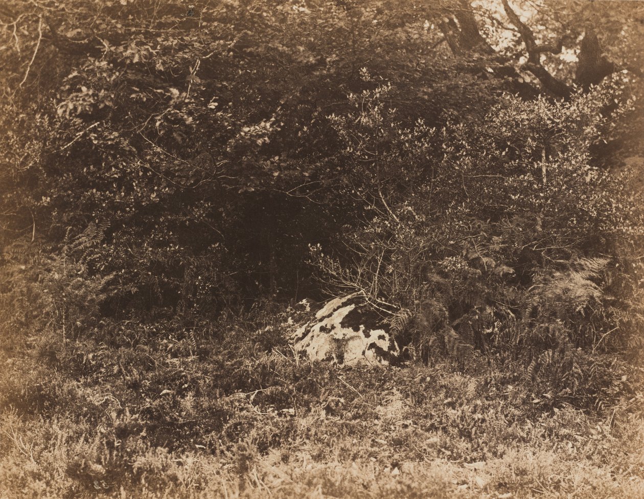 Een rots in het bos door Eugène Cuvelier