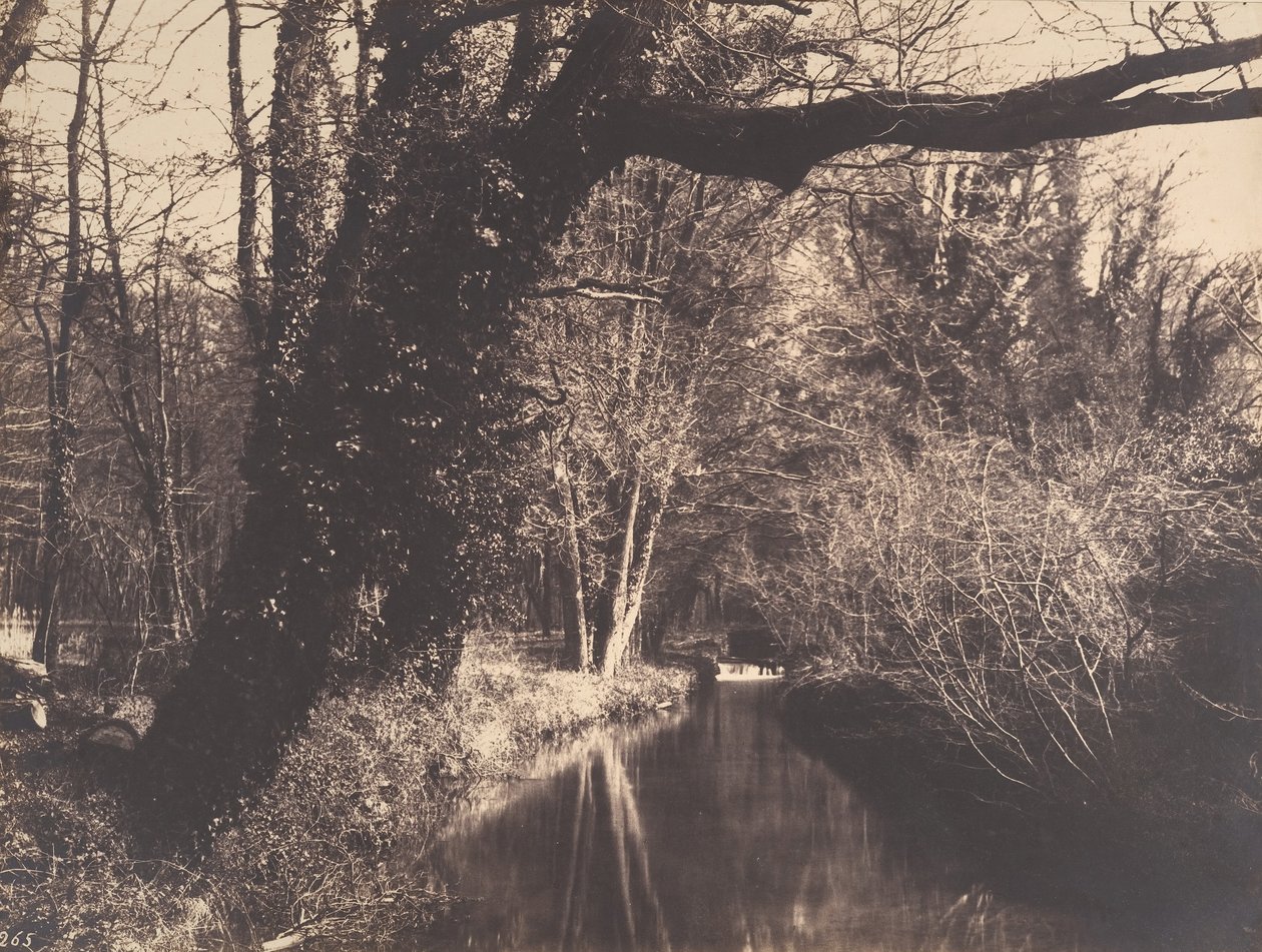 Parc de Courances door Eugène Cuvelier