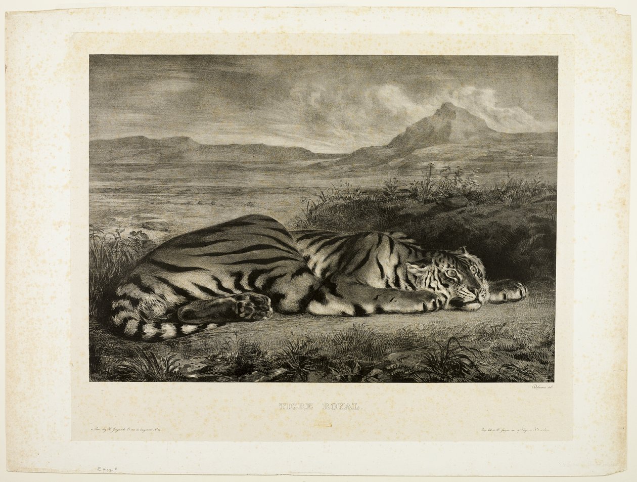Bengaalse tijger door Eugène Delacroix