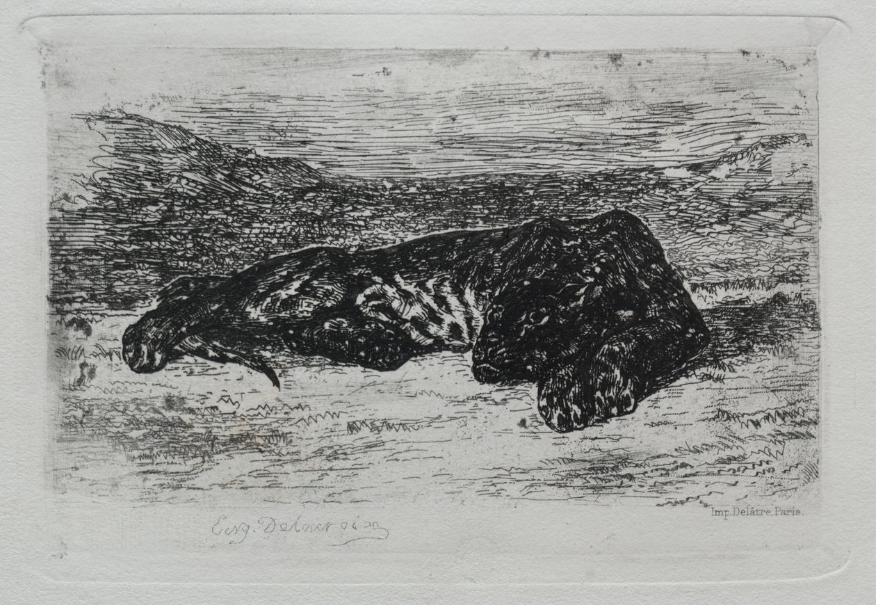 Kruipende Tijger in de Woestijn door Eugène Delacroix