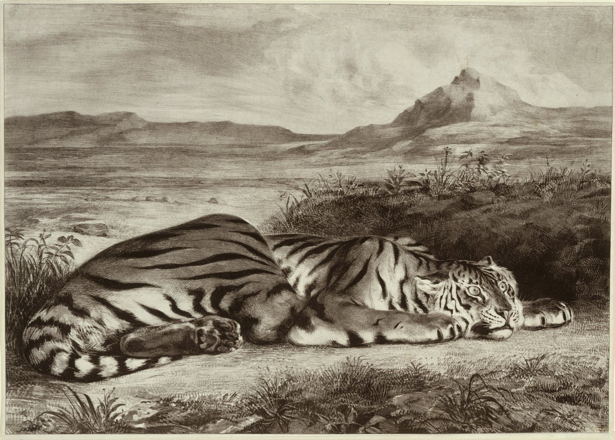 Koninklijke tijger door Eugène Delacroix