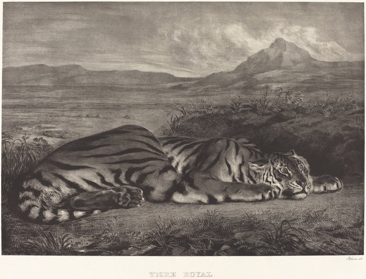 Koninklijke Tijger Tigre Royal door Eugène Delacroix