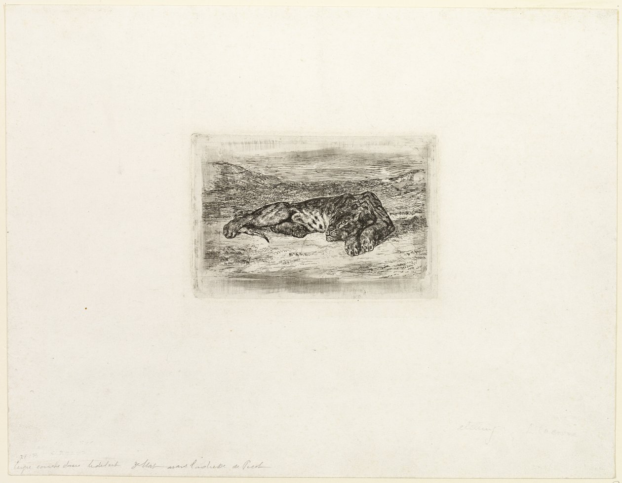 Rustende Tijger in de Woestijn door Eugène Delacroix