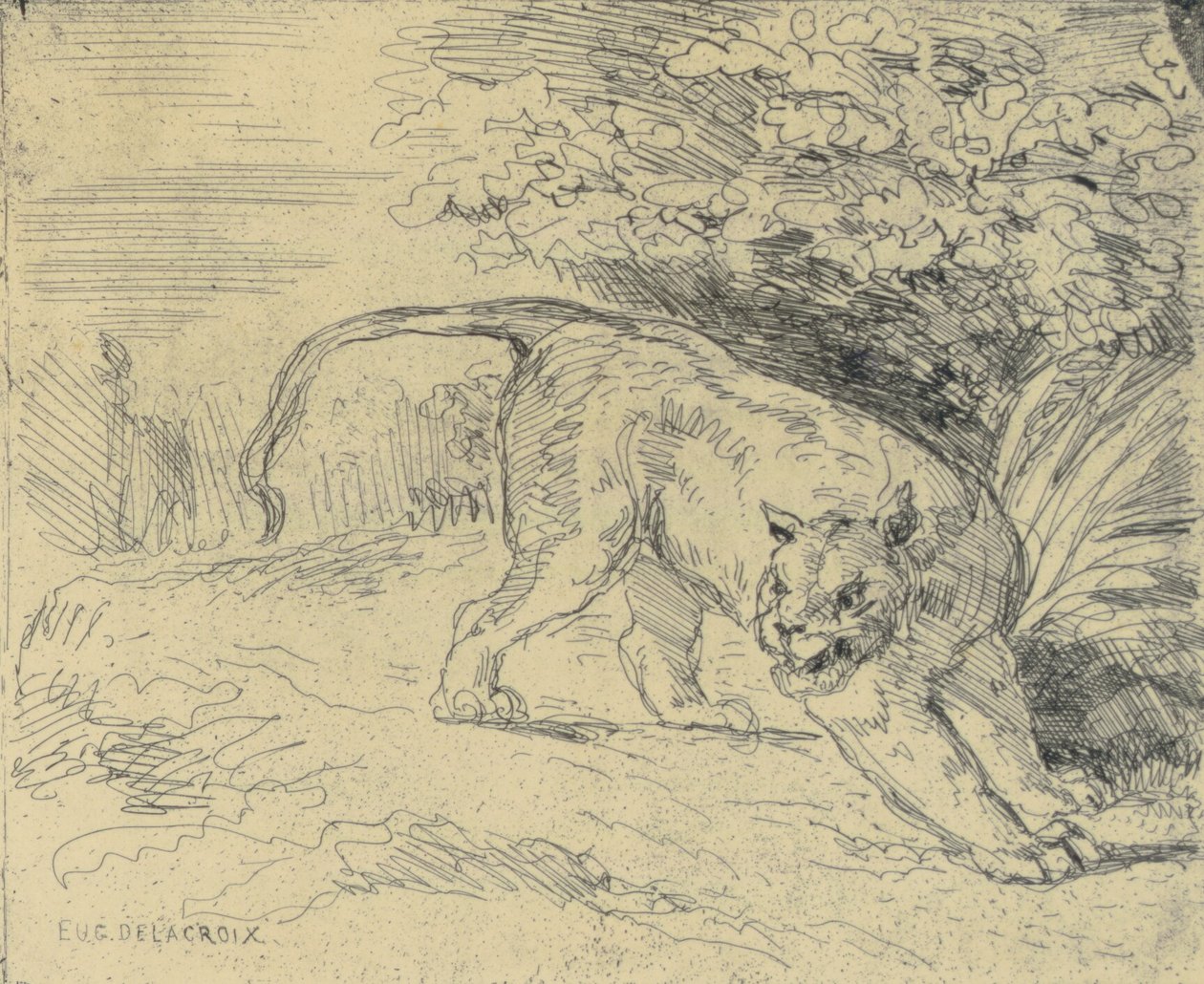 Tigre en Arrêt door Eugène Delacroix