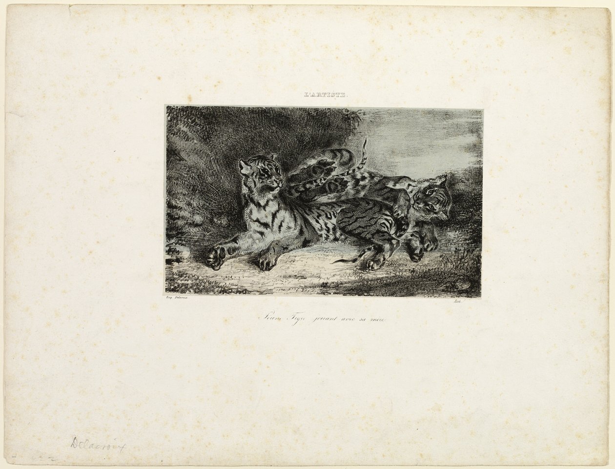 Jonge Tijger die met zijn Moeder Speelt door Eugène Delacroix