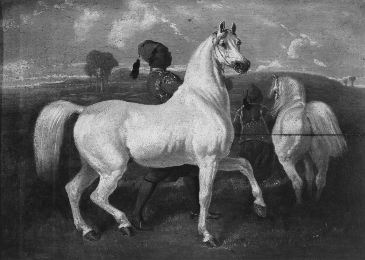 Arabische paarden, 19e eeuw door Eugène Fromentin