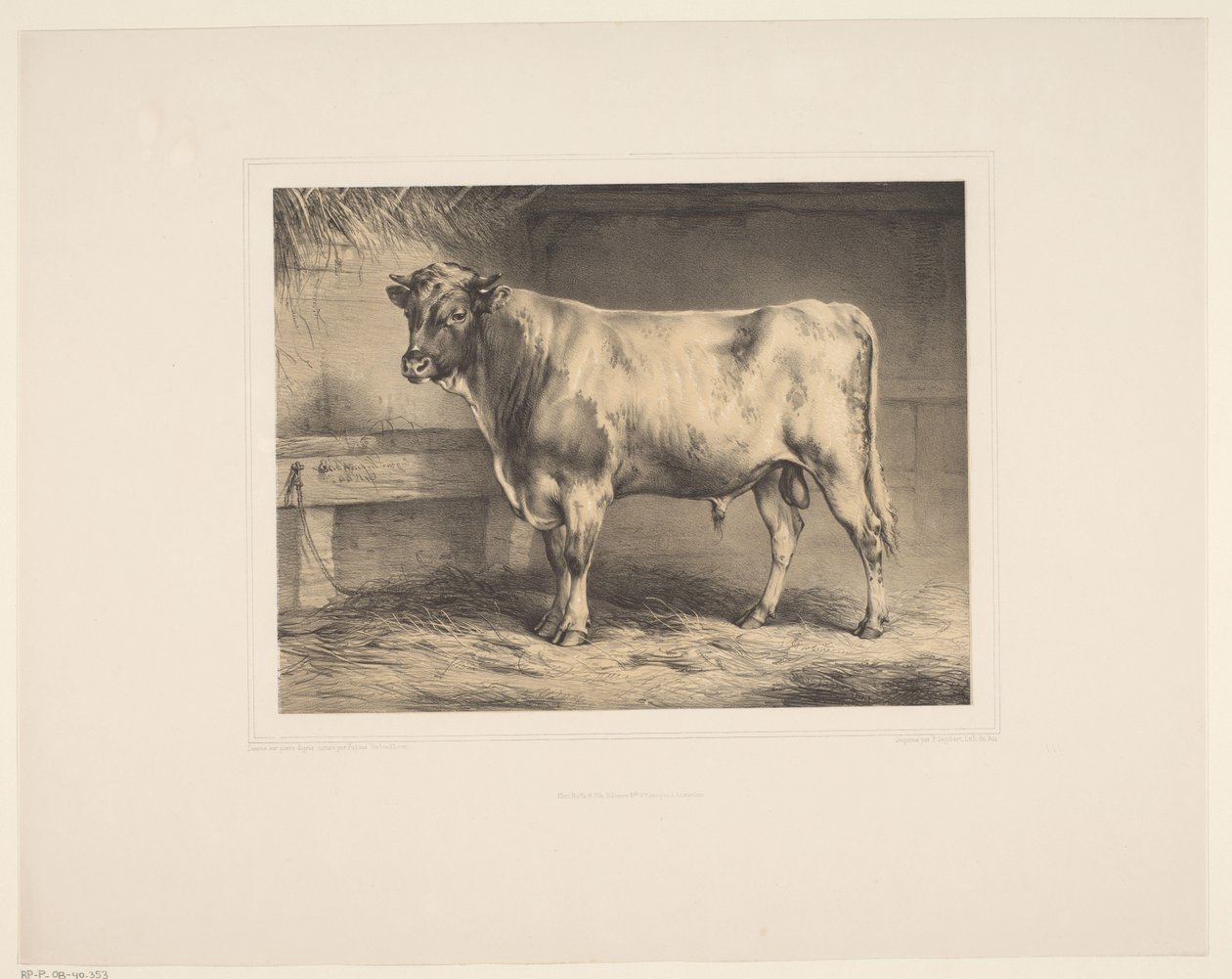 Stier door Eugène Verboeckhoven