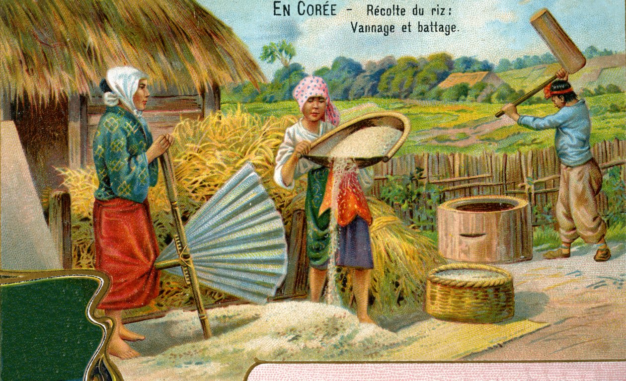 De rijstoogst in Korea, wannen en dorsen, 1904 door European School