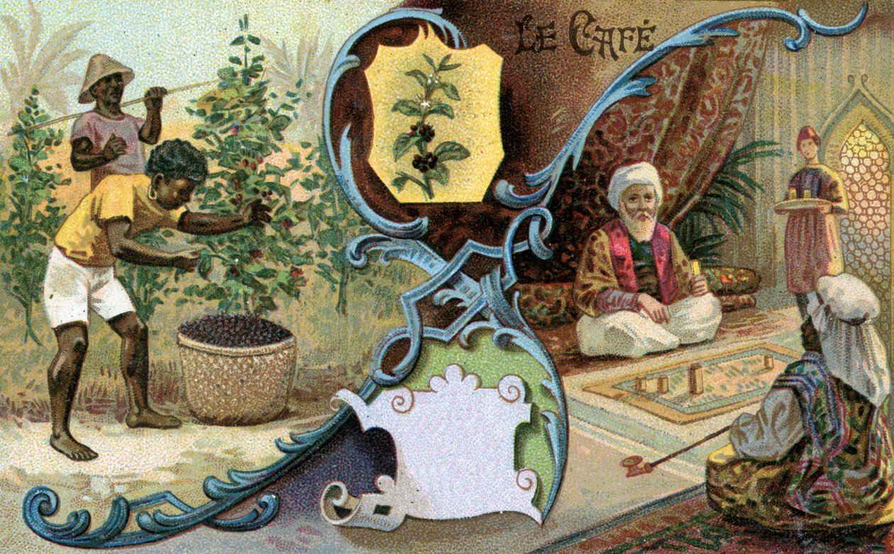 Koffie, 1899 door European School