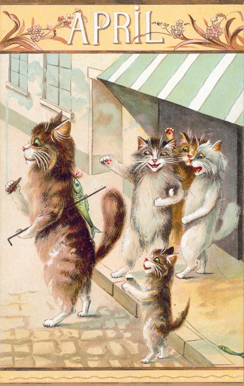 Humoristische kattenpostkaart (kleurenlitho) door European School