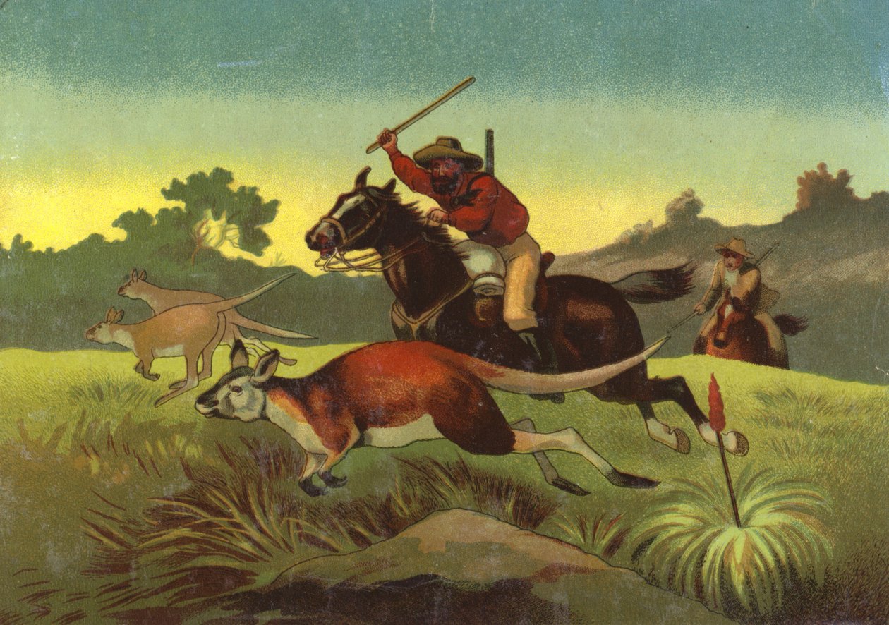 Hunting kangaroos (chromolitho) door European School