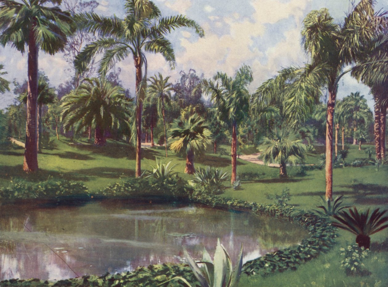 Monte-Carlo, Le Jardin du Casino (kleurenlitho) door European School